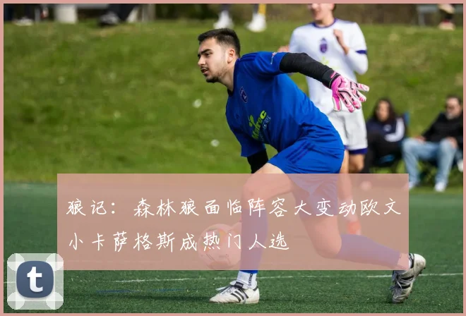 狼记：森林狼面临阵容大变动欧文小卡萨格斯成热门人选