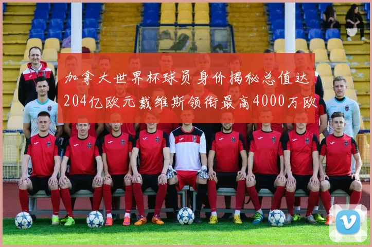 加拿大世界杯球员身价揭秘总值达204亿欧元戴维斯领衔最高4000万欧