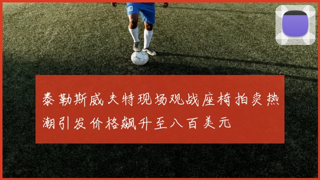 泰勒斯威夫特现场观战座椅拍卖热潮引发价格飙升至八百美元