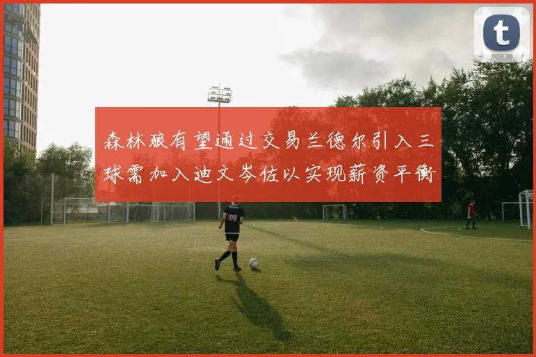 森林狼有望通过交易兰德尔引入三球需加入迪文岑佐以实现薪资平衡