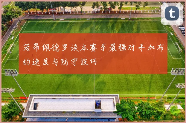 若昂佩德罗谈本赛季最强对手加布的速度与防守技巧